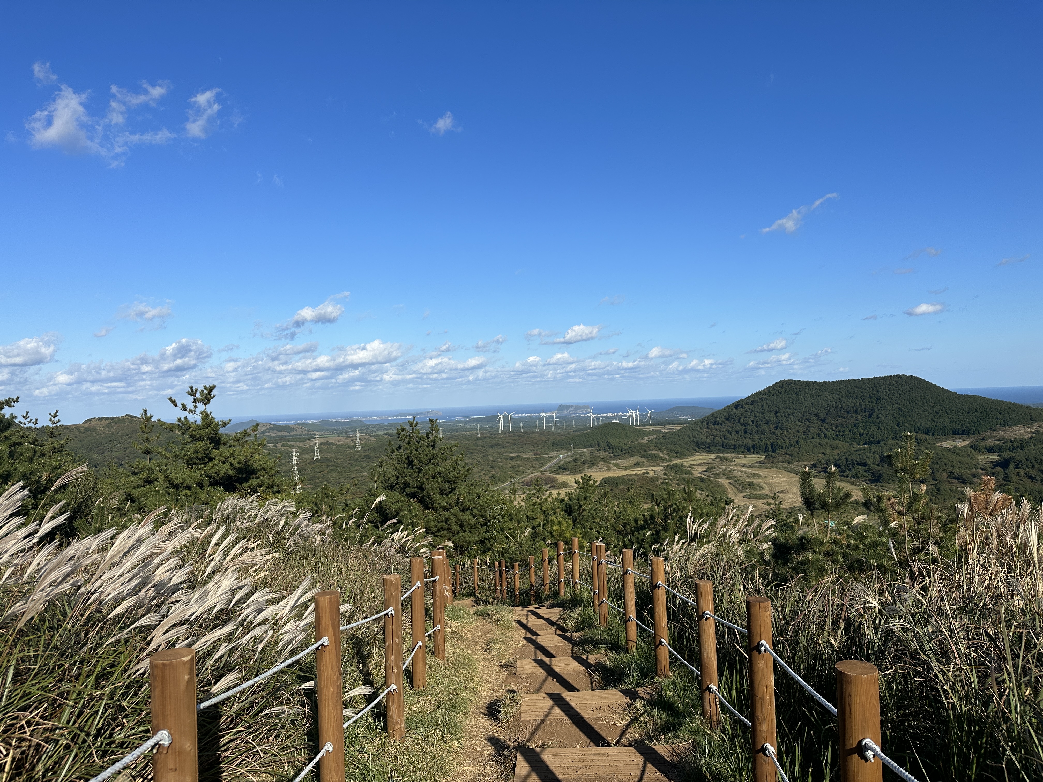 백약이오름 내려가는길