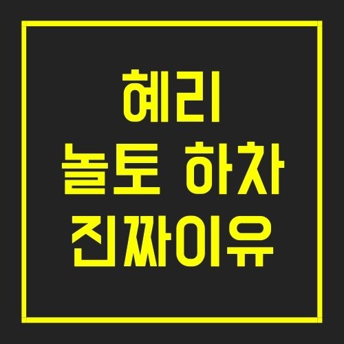 혜리 놀토 하차