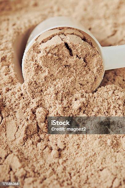 프로틴 파우더 사진