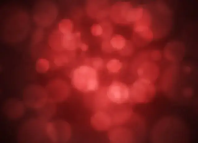 구찌뽕 효능 열매 먹는 법