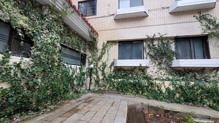 돌담병원