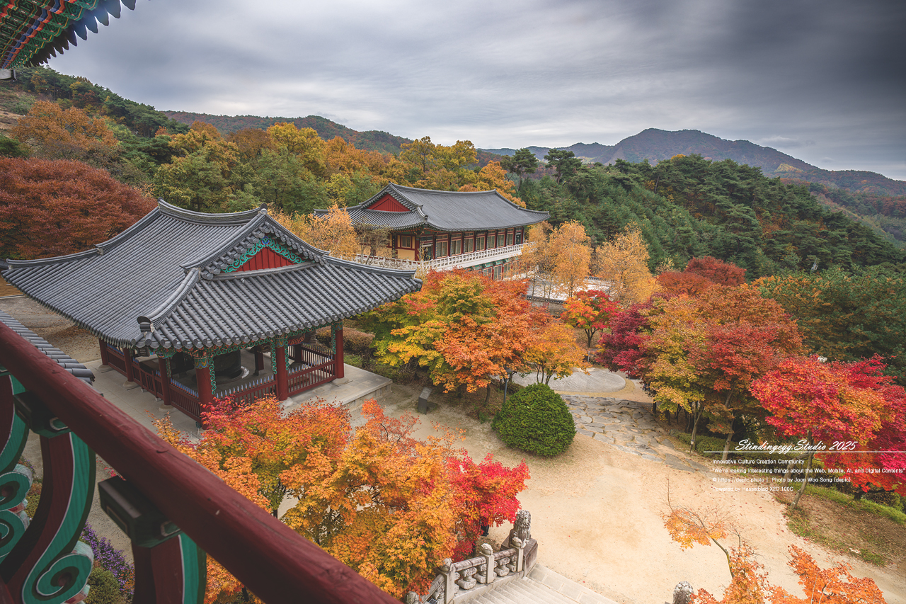 #충주 #석종사 #불교 #사찰 #가을 #단풍