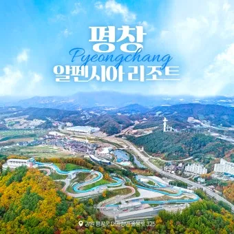 평창 가볼만한곳 베스트10 대관령 양떼목장 허브나라 드라이브_2