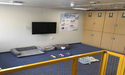 제주-완도-배편