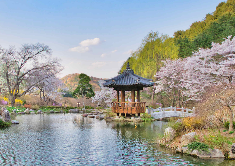 아침고요수목원