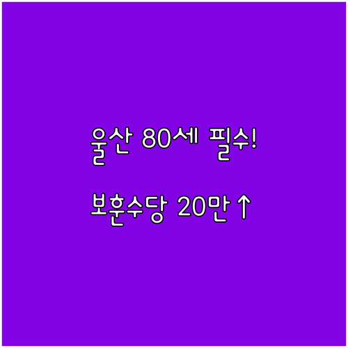 울산 남구 만 80세 이상 2025년..