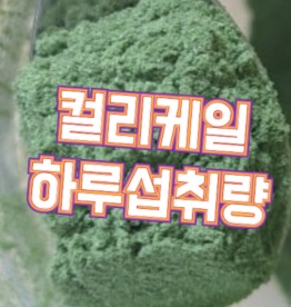 컬리케일-복용법