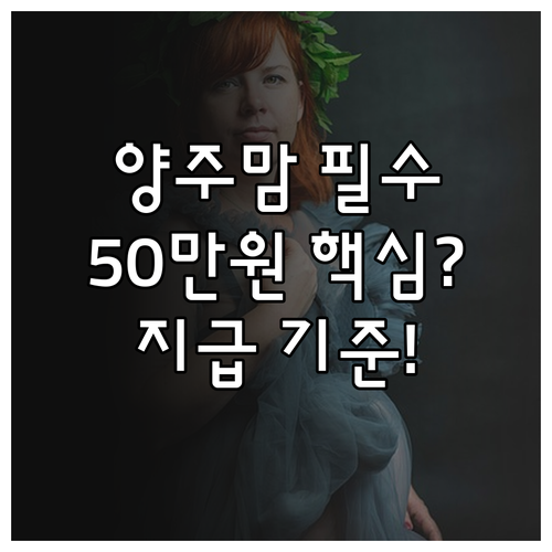 2025년 양주시 출산 산모 50만원..