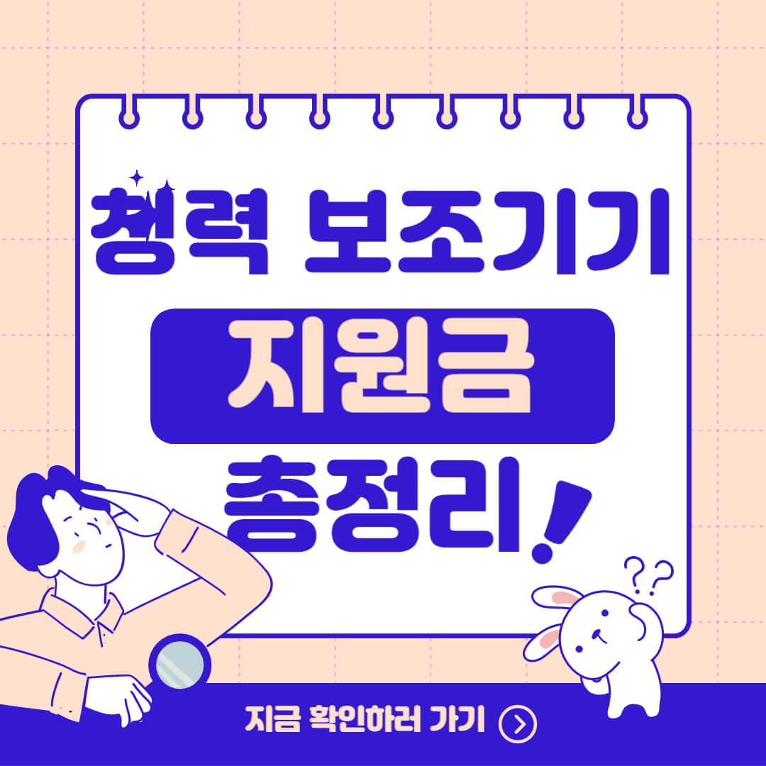 청력 보조기기 지원금