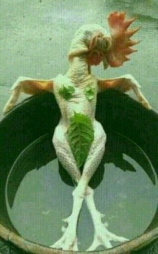 말복 입추 처서