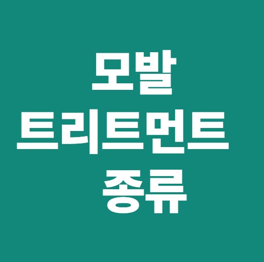 모발 트리트먼트의 종류