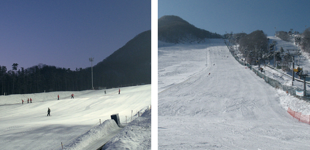 지산포레스트 스키장