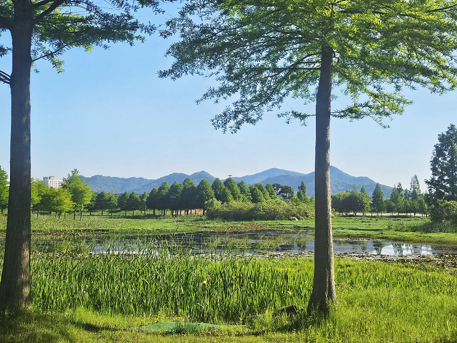 함평파크골프장, 함평엑스포공원나비파크골프장