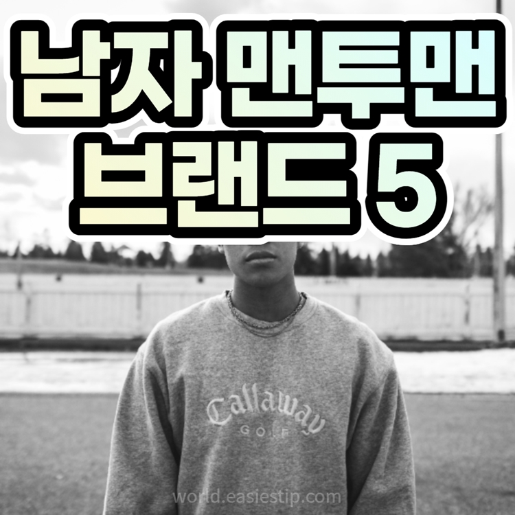 맨투맨 브랜드 추천