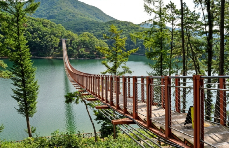 마장호수 출렁다리
