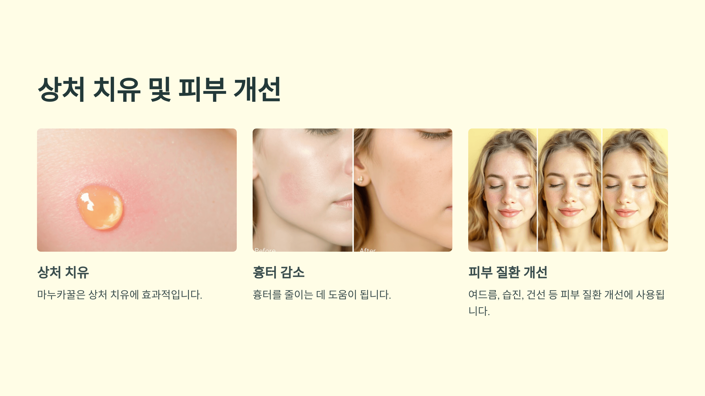 마누카꿀 사진입니다.