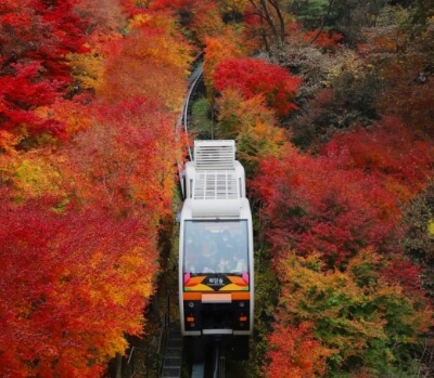 화담숲 모노레일 운행 모습