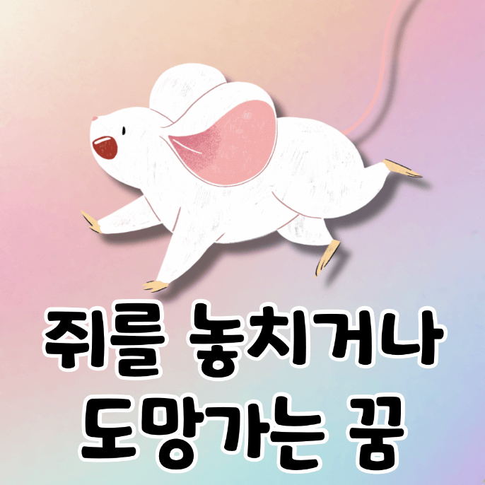 쥐