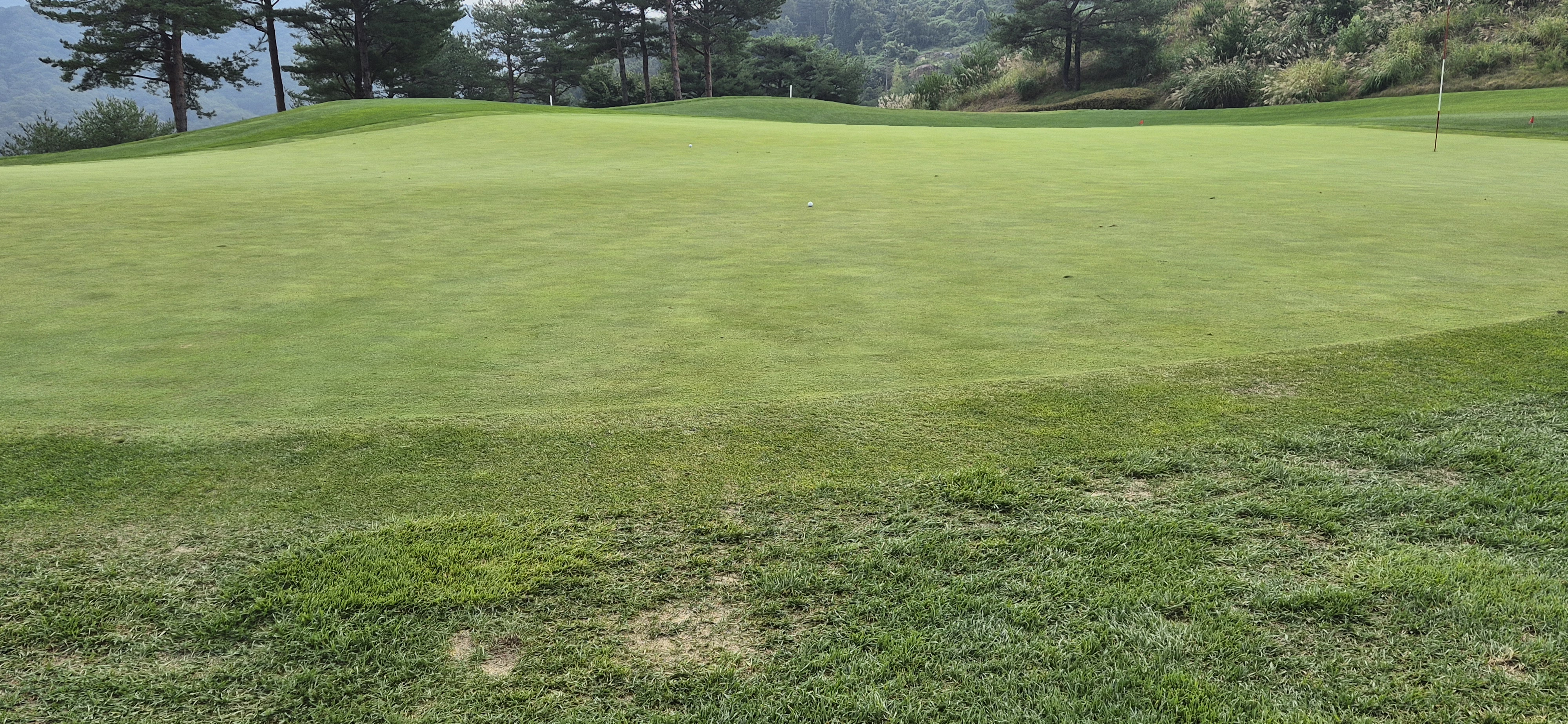 소노팰리체cc이스트