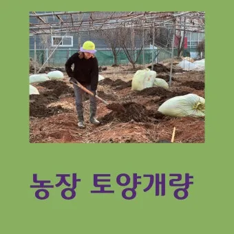 토양 개량 방법 유기물 석회 훈탄 염류집적 해결_4