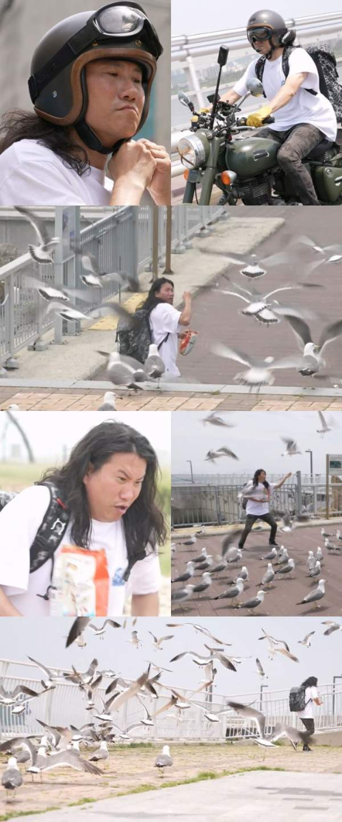 "아니, 갈매기가 날 쫓아와?!" 임우일, 새우깡 들고 바닷가 추격전! '나혼산' 레전드 예감!