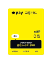 카카오페이 카드