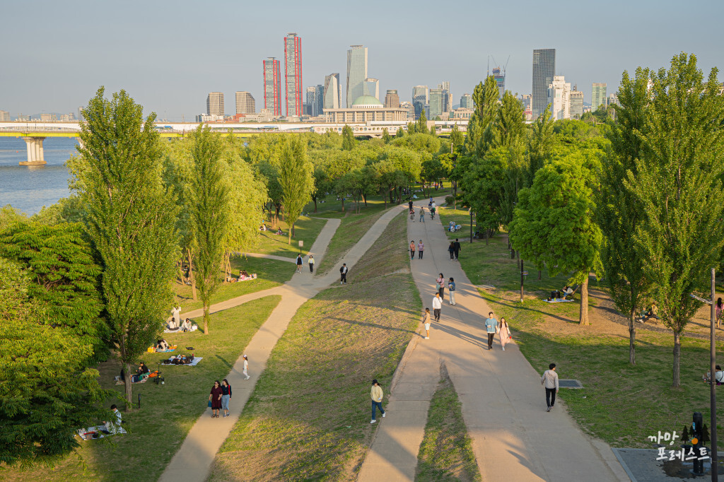 양화 한강공원 데이트