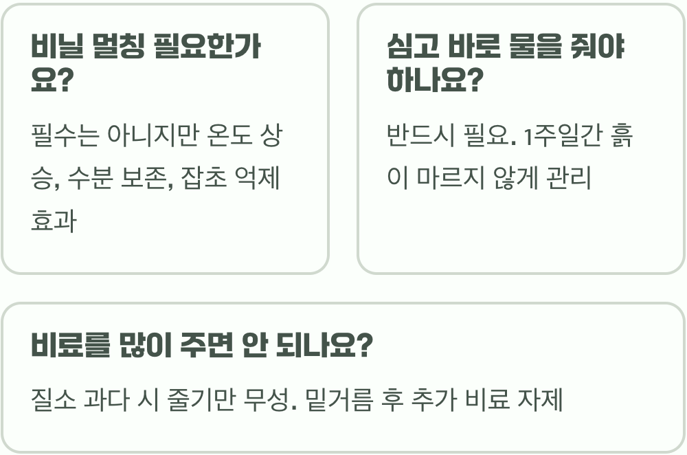 고구마 파종(순 심기) A to Z&amp;#44; 묘종 선택부터 심기까지