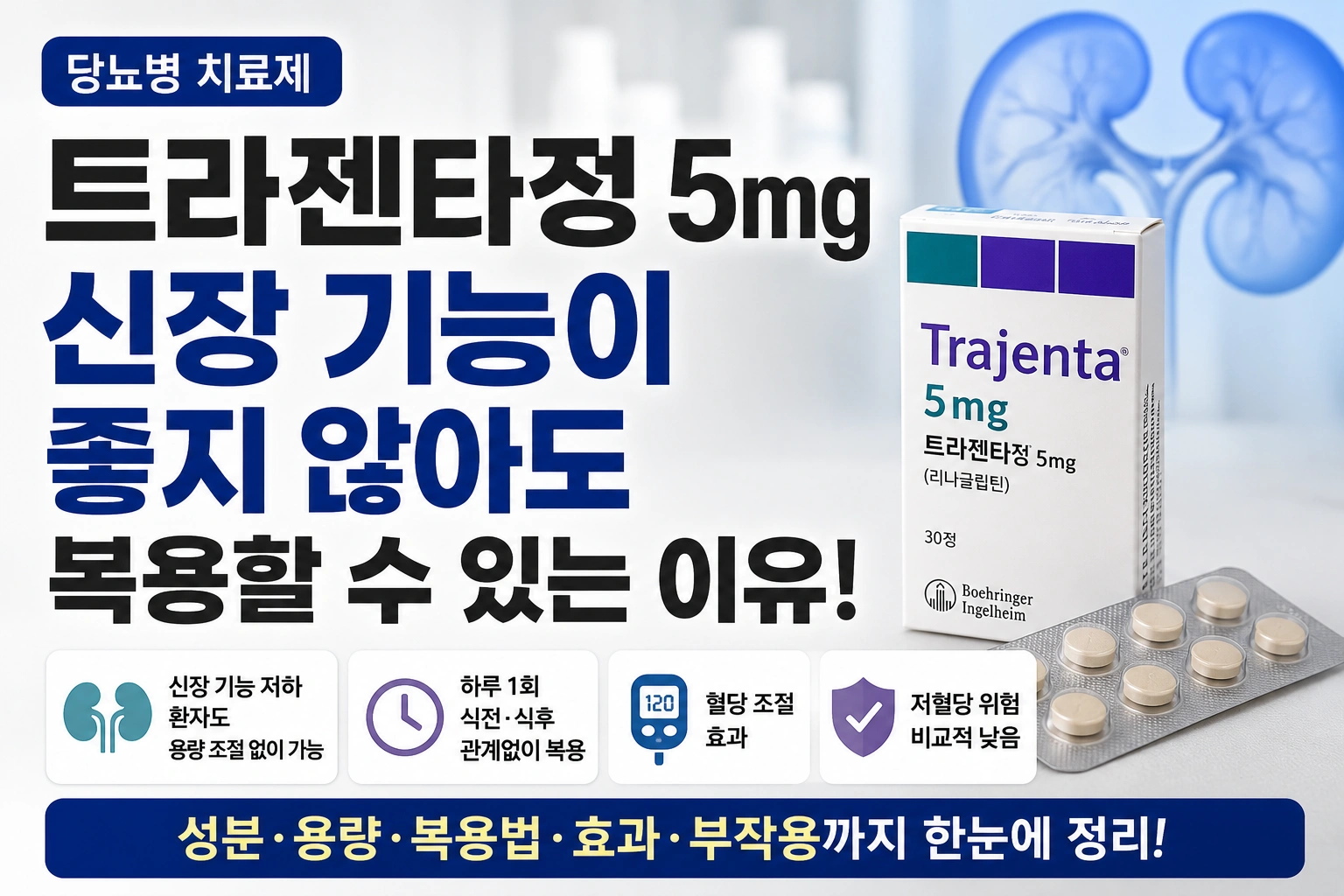 트라젠타정 5mg, 신장 기능이 좋지 않아도 복용할 수 있는 이유를 알면 이해가 쉬워집니다