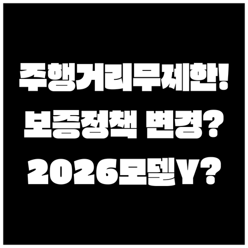 테슬라 모델Y 2026년 보증 정책 ..