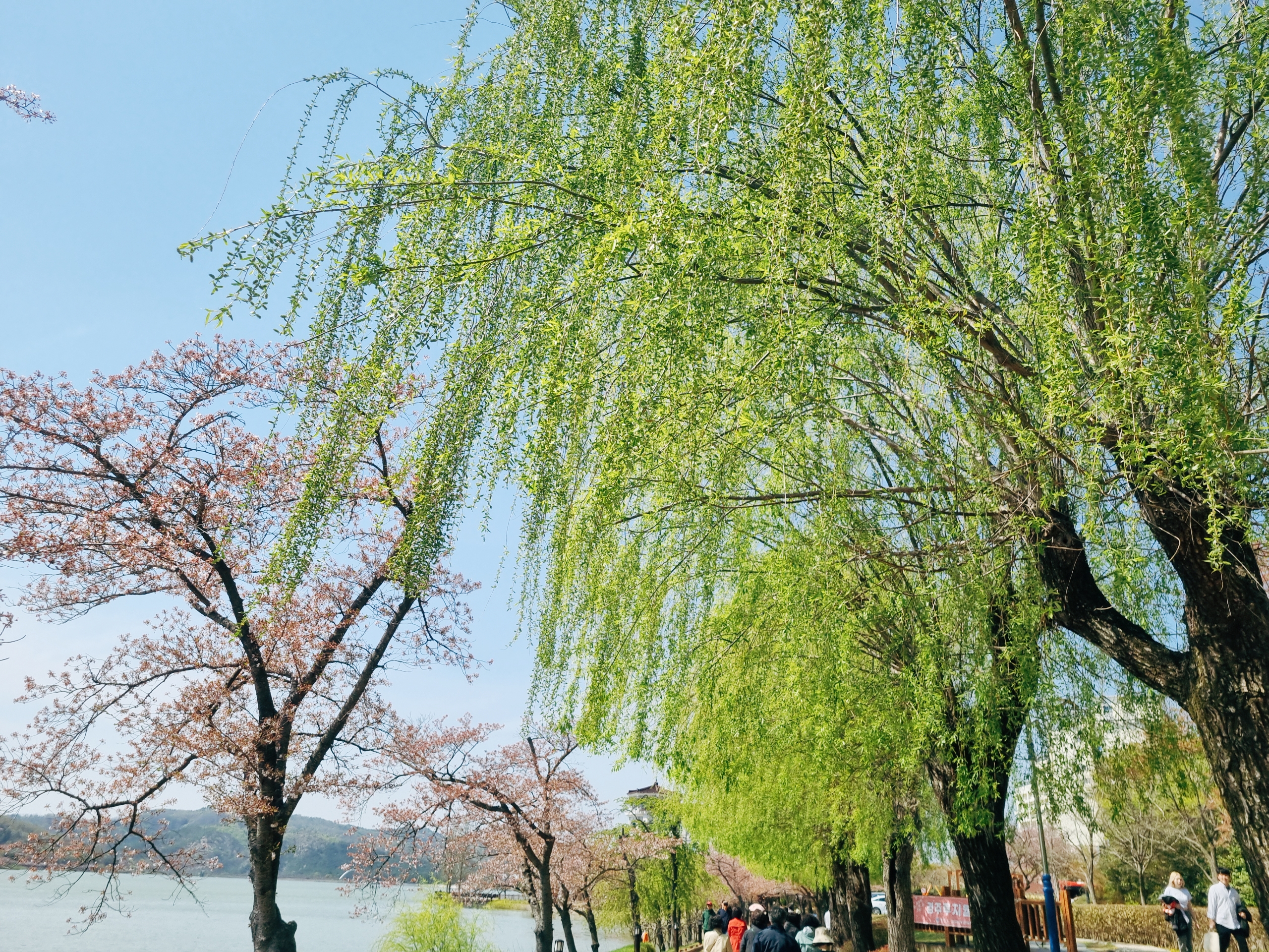 경주 보문단지
