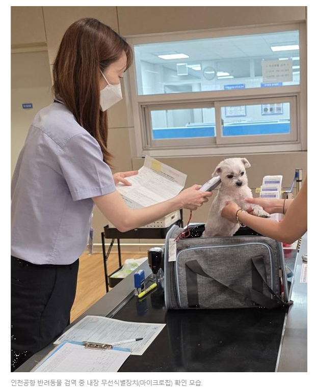 반려동물과 해외여행 시 검역 필수 준비사항