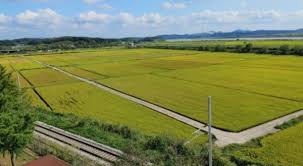 농지연금 수령액 계산 방법