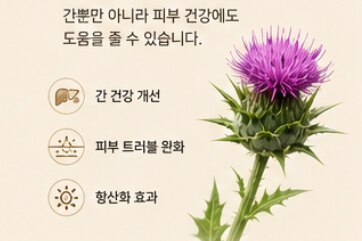 밀크씨슬 효과와 복용법