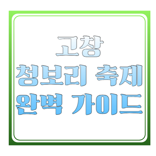 고창 청보리 축제 완벽 가이드: 학원농장 초록 물결, 인생샷·동선·꿀팁까지