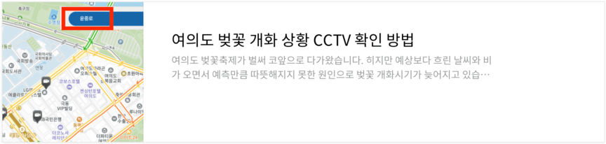 여의도 윤중로 차량 교통 통제 벚꽃축제 실시간 주차장 확인하기