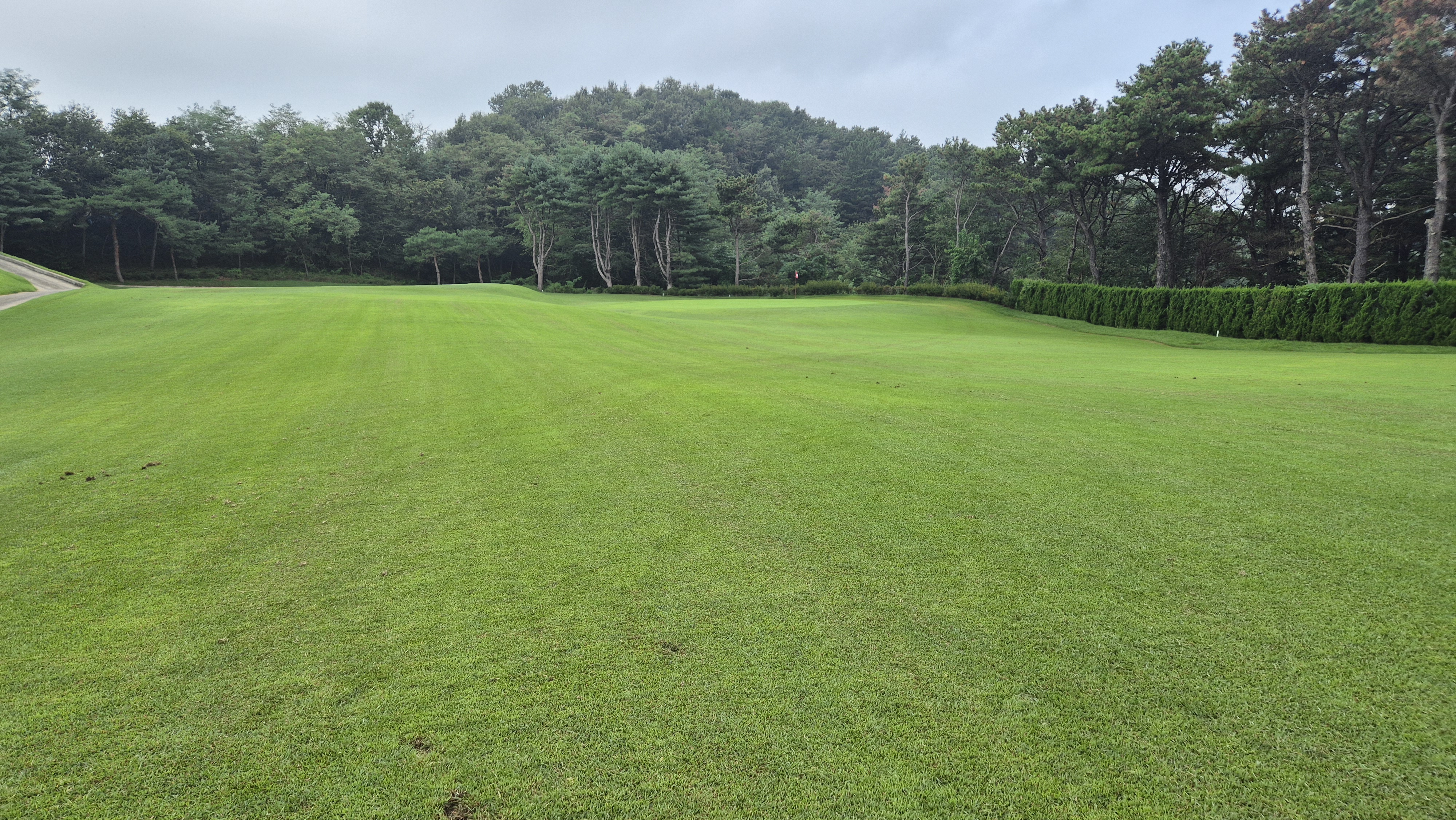 도고cc 코스 사진 및 공략 정보