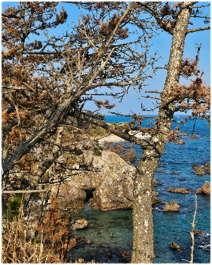 전촌용굴