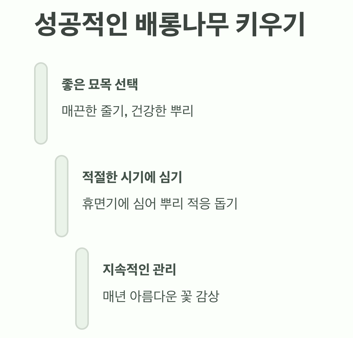 성공적인 배롱나무 키우기