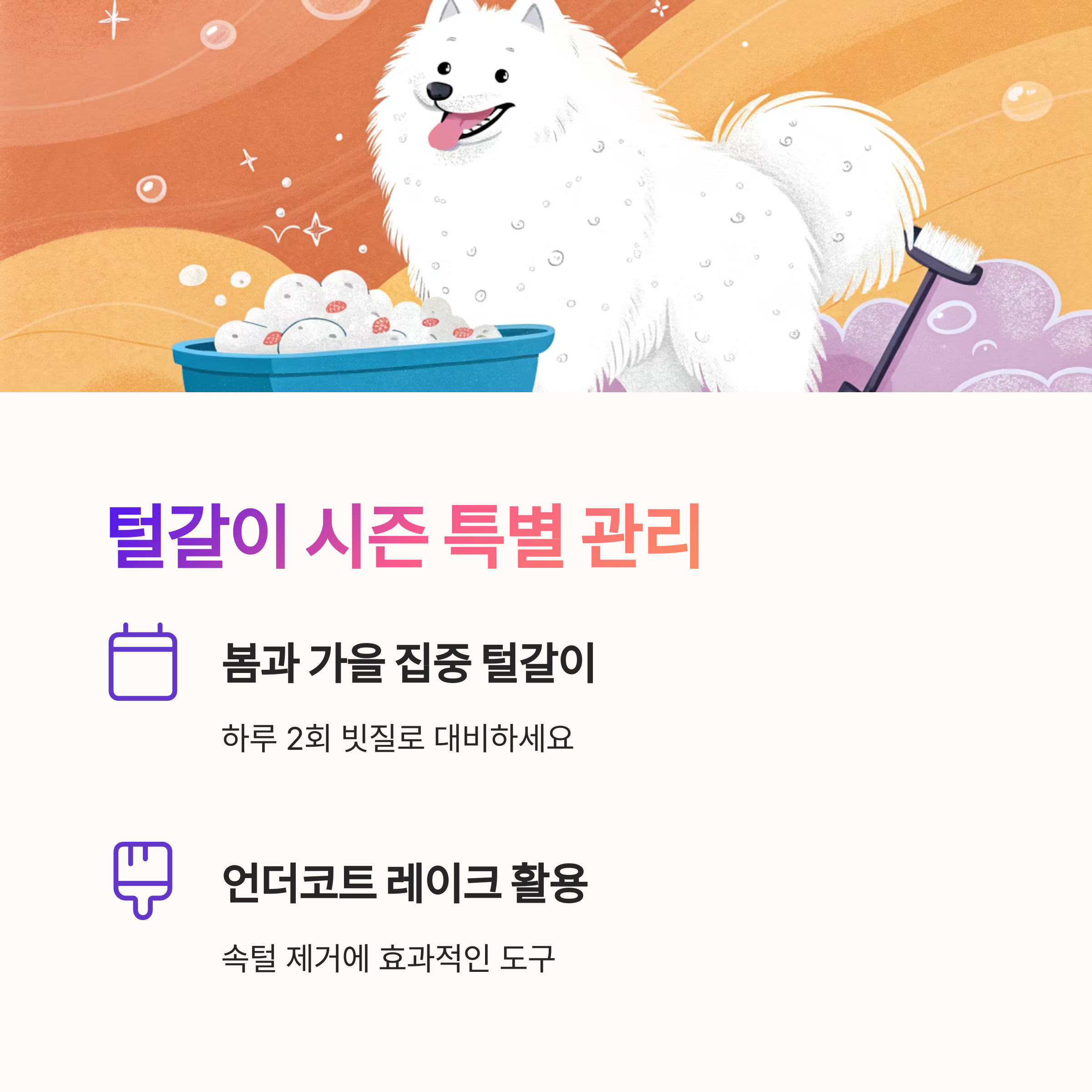 털갈이 시즌 특별 관리