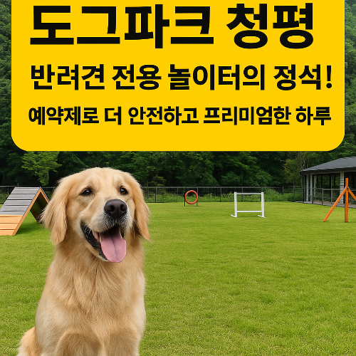 도그파크 청평, 반려견 전용 놀이터의 정석! 예약제로 더 안전하고 프리미엄한 하루