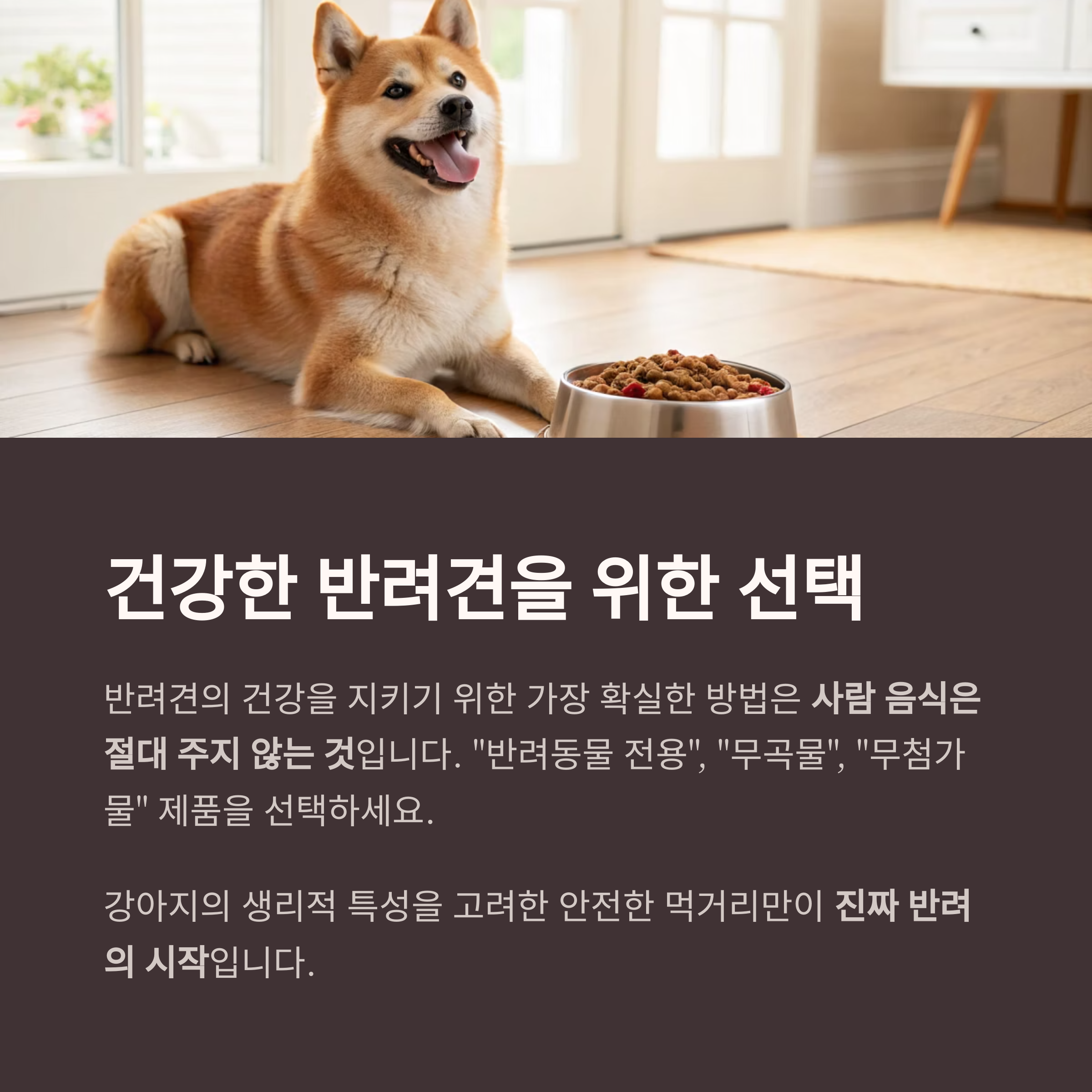 건강한 반려견을 위한 선택