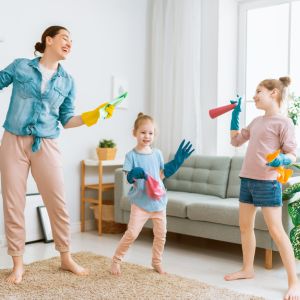 정서 지능의 구성요소