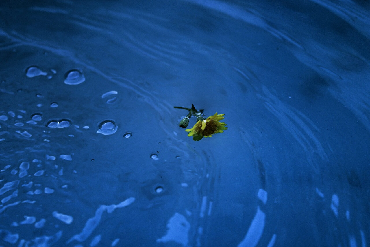 한 번의 실수로 자책하는 나, CBT로 생각 멈추기