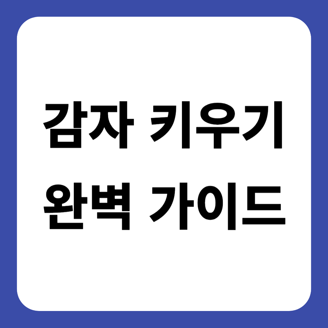감자 키우기