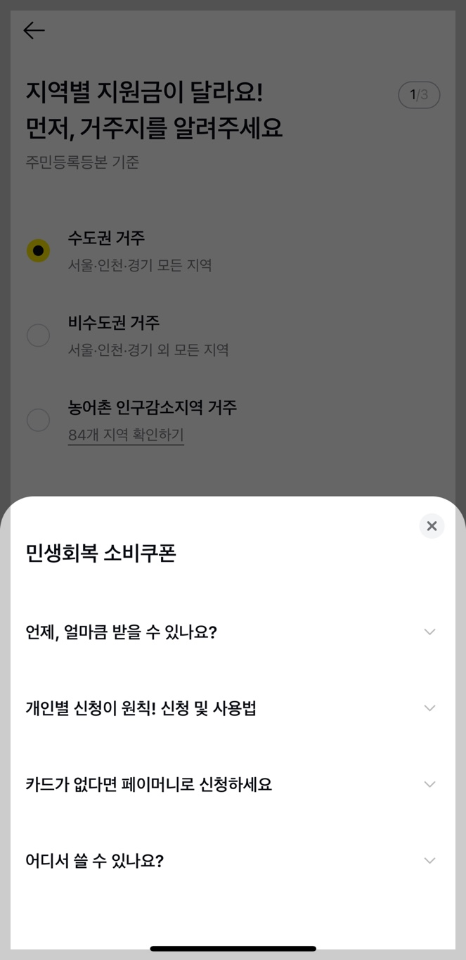 민생회복 소비쿠폰 카카오 페이 가이드 2 