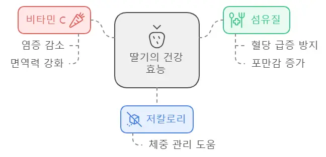 딸기 건강효능