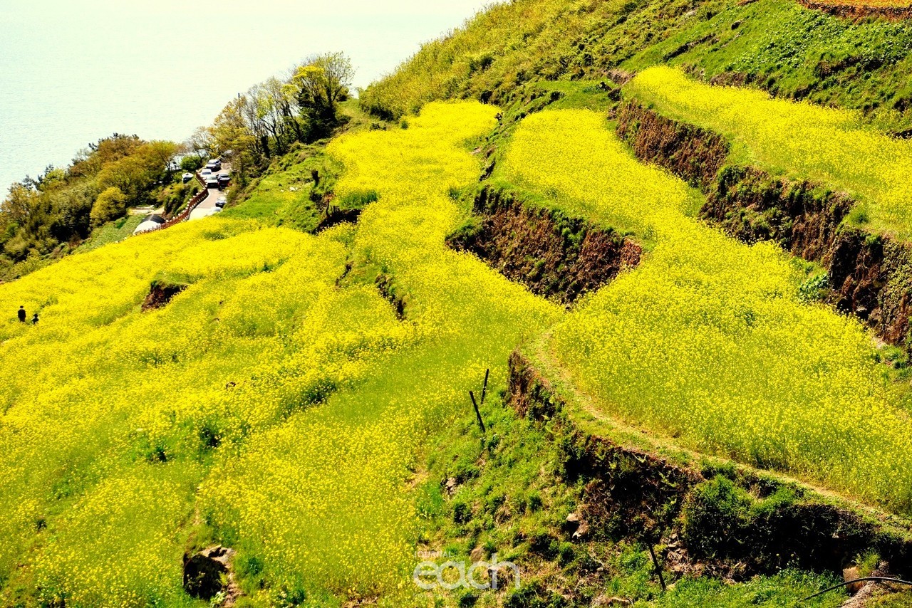 드라마 정년이 촬영지