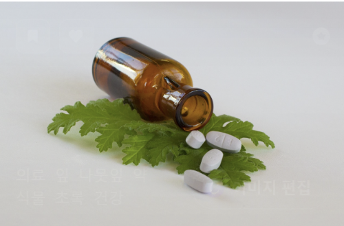 영양제 성분별 효능과 자연요법 대체 가능성관련 사진