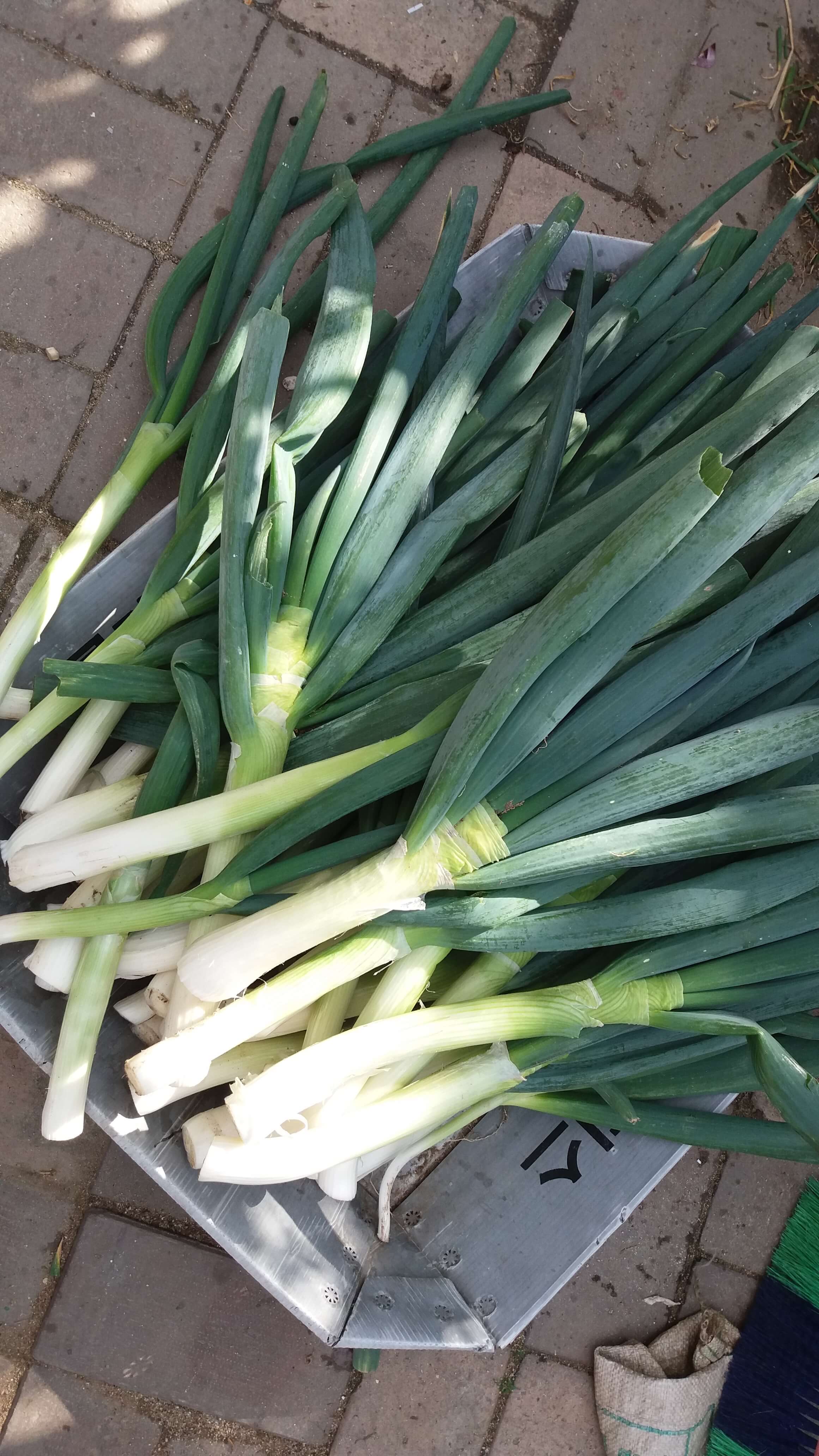 ๊น์ฅ์ฌ๋ฃ